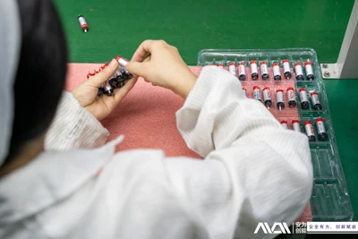 L'endurance de la batterie lithium-ion