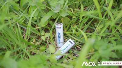 Les avantages des batteries au lithium rechargeables pour la protection de l'...