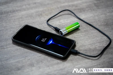 Les deux batteries au lithium peuvent être utilisées comme une banque d'alime...