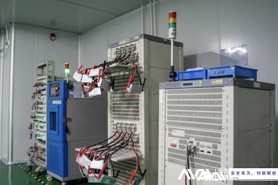 Batteries de consommation Vs. Batteries de stockage d'énergie